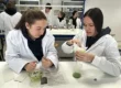 Laboratorios y proyectos en HBS