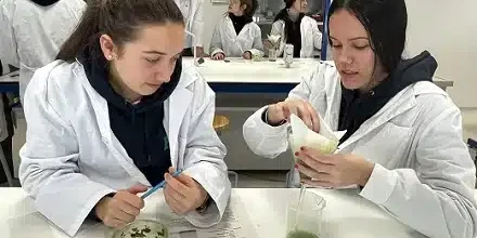 Laboratorios y proyectos en HBS